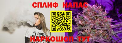 гидра Новодвинск