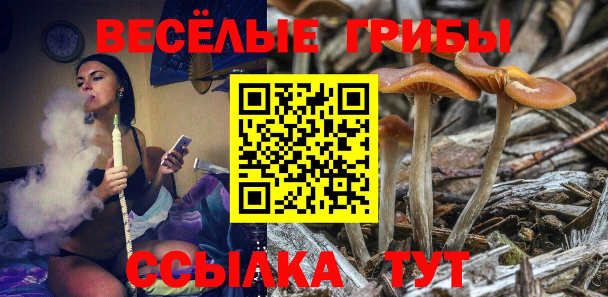 Галлюциногенные грибы Cubensis Сухой Лог