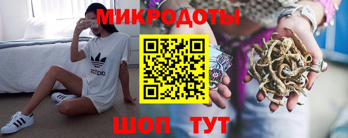 Сухой Лог  Галлюциногенные грибы мухоморы  Вход с VPN  Галлюциногенные грибы Psilocybe 